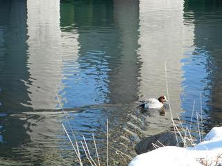 DSCF6612-2.jpg