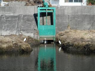 DSCF6614-2.jpg