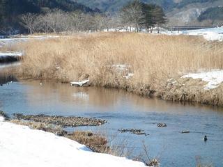 DSCF6622-2.jpg
