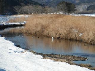 DSCF6623-2.jpg