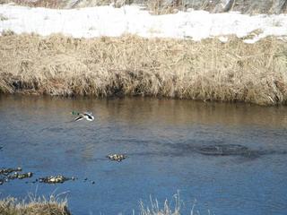 DSCF6624-2.jpg