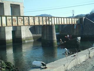 DSCF6641-2.jpg
