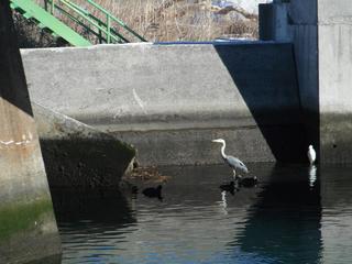 DSCF6644-2.jpg