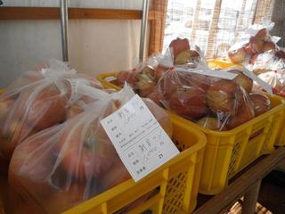 DSCF7263-2.jpg