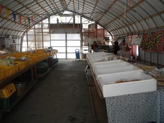DSCF7278-2.jpg