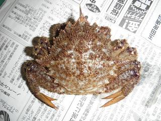 DSCF7307-2.jpg