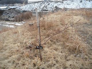 DSCF7460-2.jpg