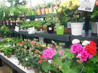 DSCF7521-2.jpg