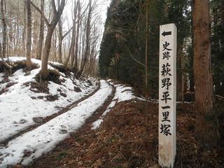 DSCF7560-2.jpg