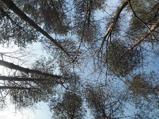 DSCF7571-2.jpg