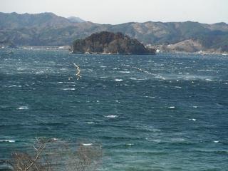 DSCF7607-2.jpg