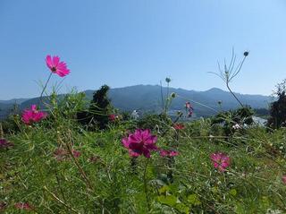 DSCF7658-2.jpg