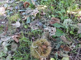 DSCF7680-2.jpg