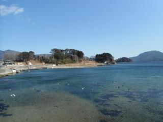 DSCF7751-2.jpg