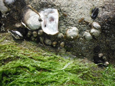 DSCF8166.JPG