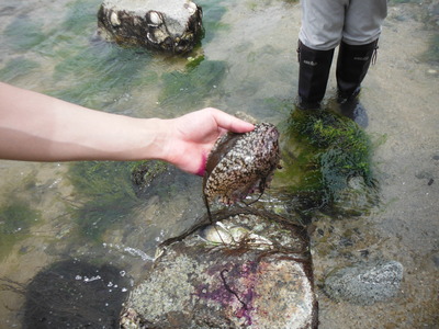DSCF8168.JPG