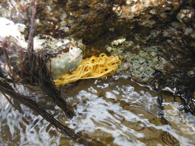 DSCF8171.JPG