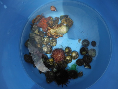 DSCF8174.JPG