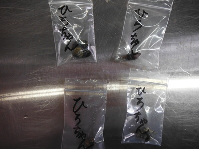 DSCF8179.JPG