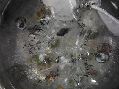 DSCF8188.JPG