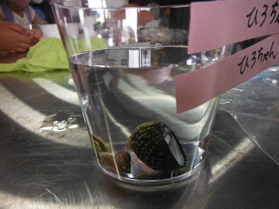 DSCF8201.JPG