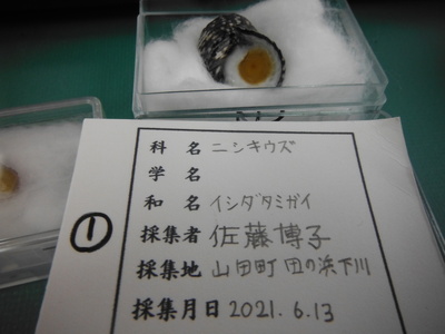 DSCF8226.JPG