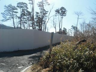 DSCF8318-2.jpg