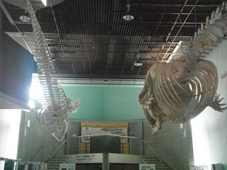 DSCF8323-2.jpg