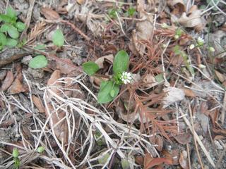 DSCF8489-2.jpg