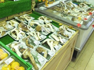 DSCF8574-2.jpg