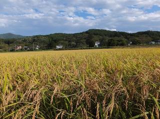 DSCF8581-2.jpg