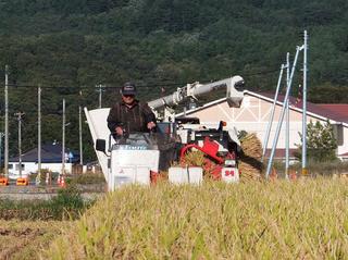 DSCF8595-2.jpg