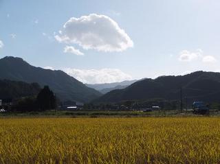 DSCF8616-2.jpg
