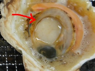 DSCF8635-2.jpg