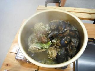 DSCF8637-2.jpg