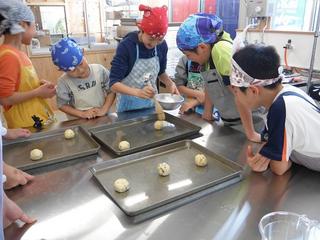 DSCF8719-2.jpg
