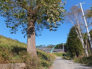 DSCF8778-2.jpg
