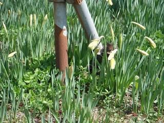 DSCF8892-2.jpg