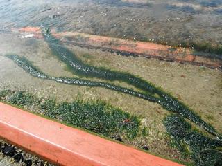 DSCF8974-2.jpg