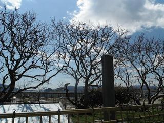 DSCF9043-2.jpg