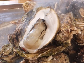 DSCF9100-3-2.jpg