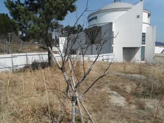 DSCF9156-2.jpg