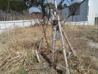 DSCF9158-2.jpg