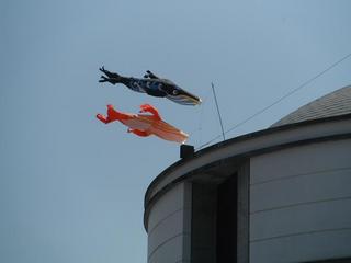 DSCF9195-2.jpg