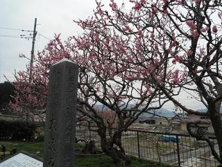 DSCF9462-2.jpg