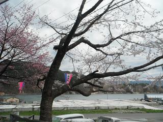 DSCF9526-2.jpg