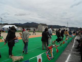 DSCF9972-2.jpg