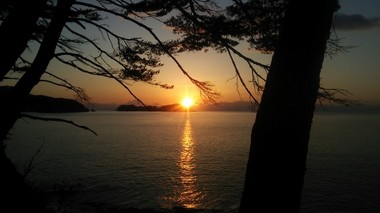 DSC_1122s.jpg