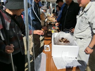 シイタケ試食.jpg