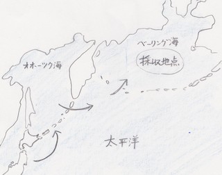 太平洋.jpg
